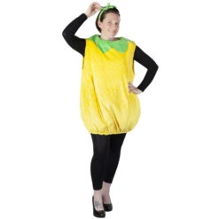 Kostüm - Ananas - Für Erwachsene - 2-teilig