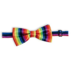 Fliege - Regenbogen - Für Erwachsene